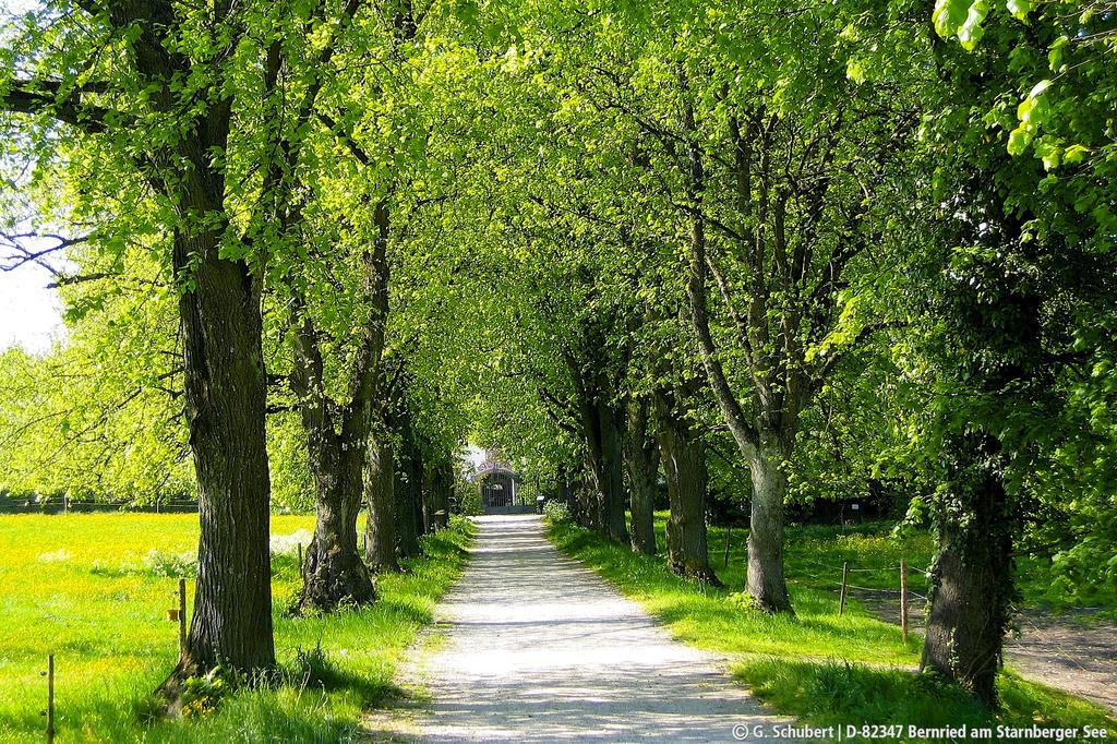 Landgasthof Drei Rosen Bernried am Starnberger See المظهر الخارجي الصورة